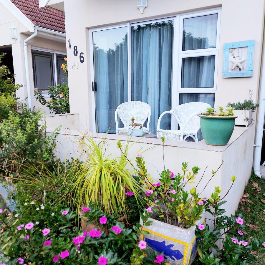 The Coelacanth Guest House And Beach Thyme Self Catering Kiddʼs Beach エクステリア 写真