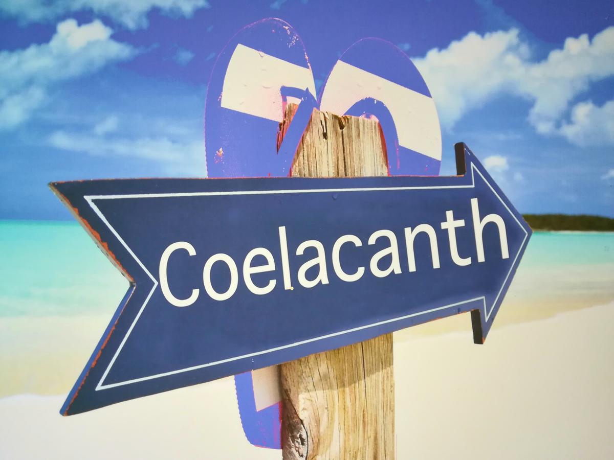 The Coelacanth Guest House And Beach Thyme Self Catering Kiddʼs Beach エクステリア 写真