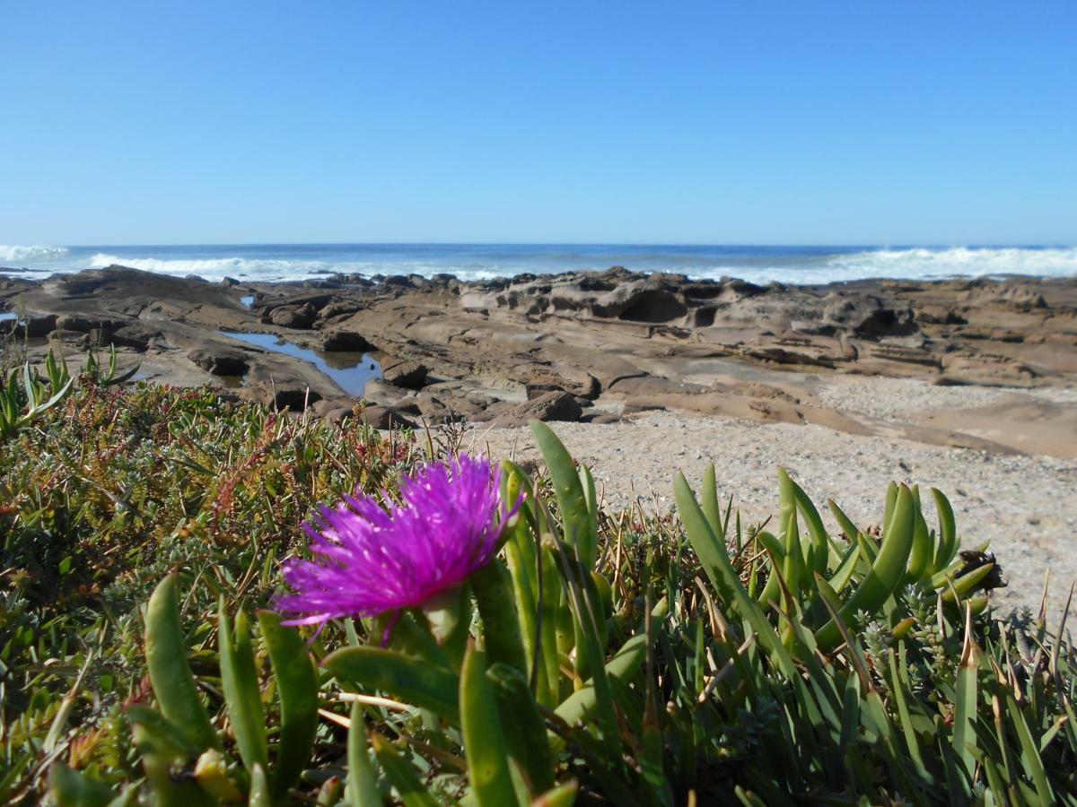 The Coelacanth Guest House And Beach Thyme Self Catering Kiddʼs Beach エクステリア 写真